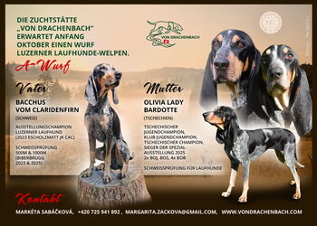 VonDrachenbach vrhA de VELKE bearb3